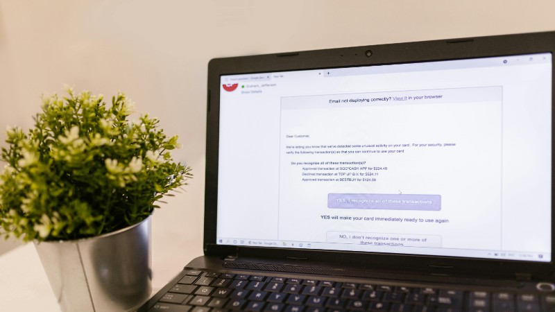 Laptop showing email next to green plant, ideal for tech and productivity concepts., tags: und - pexel